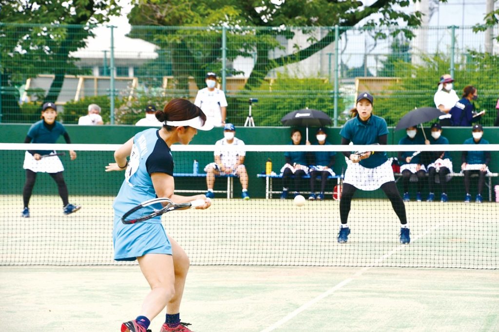 ワタキューセイモア